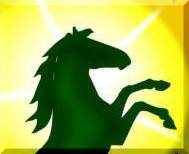 Animals Are Spiritual Beings